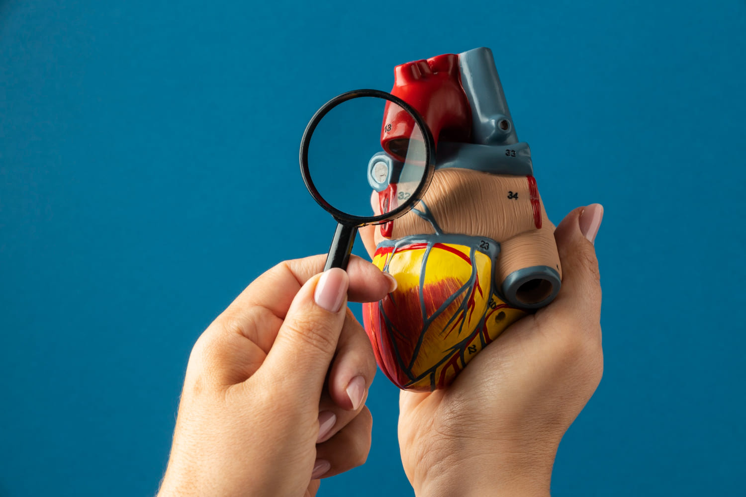 Angioplastia coronaria con stent en Puebla: Recupera la salud de tu corazón